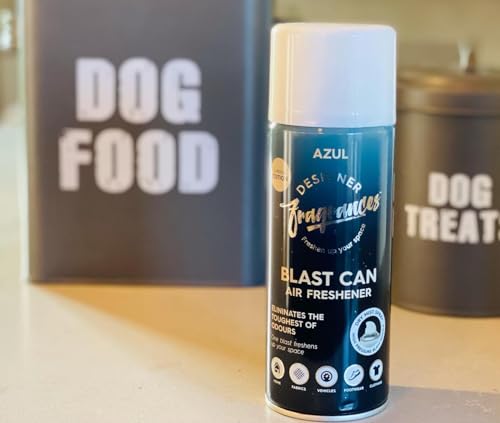 Designer Fragrances 6 Pack Favourites Bundle - Luxury Air Freshener Blast Cans - For Home & Vehicles – Natural Oils, Lasting Smell, Dry Mist Quick Release Spray – Deodorise & Neutralise Odours – 300ml - Get Me Products