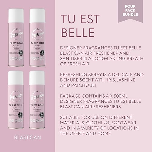 Designer Fragrances 6 Pack Favourites Bundle - Luxury Air Freshener Blast Cans - For Home & Vehicles – Natural Oils, Lasting Smell, Dry Mist Quick Release Spray – Deodorise & Neutralise Odours – 300ml - Get Me Products