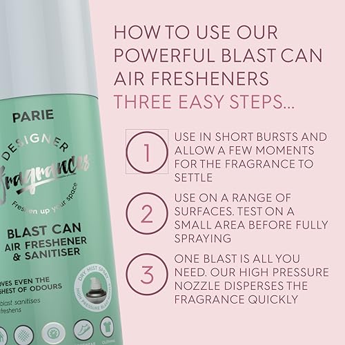 Designer Fragrances Fleur Blast Can – Air Freshener & Sanitiser, Use in the Car, At Home, On Furniture, On Shoes – Dry Mist Quick Release Spray – Spray Once to Deodorize & Neutralise Smells – 400ml