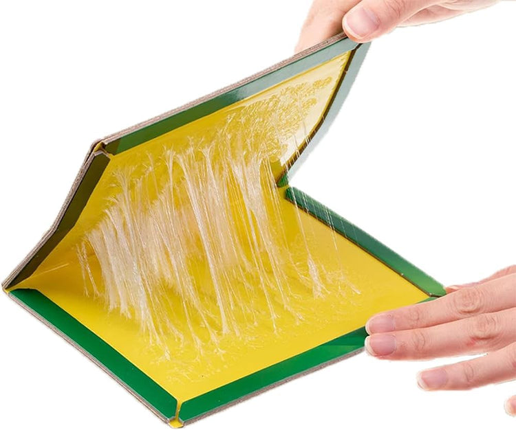 6 Pack Pest Trap Boards, Large Strong Sticky Trap Pad and Boards for Multi Pests, Glue Trap Pads for Indoor Outdoor Home Kitchen Garden, Insects, Fly Catchers.