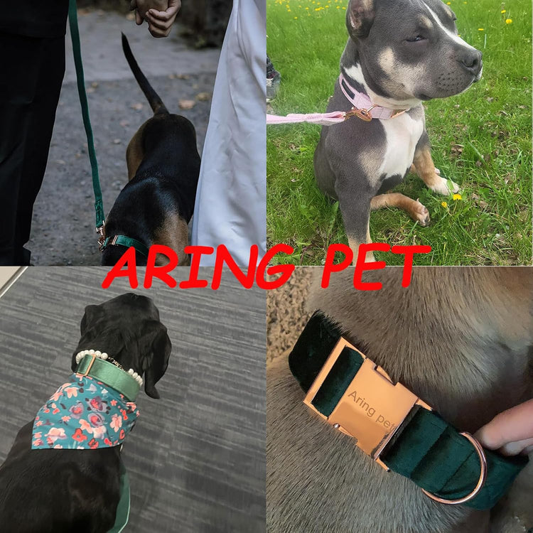 Dog Collar and Leash, Velvet Dog Collar and Leash Set, Soft & Comfy, Adjustable Collars for Dogs