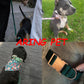 Dog Collar and Leash, Velvet Dog Collar and Leash Set, Soft & Comfy, Adjustable Collars for Dogs