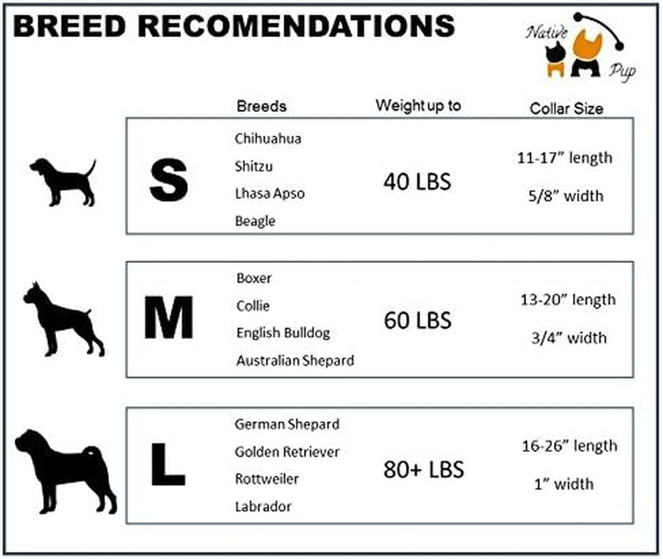 Chicago Flag Dog Collar (Chicago Big Stars, Medium)