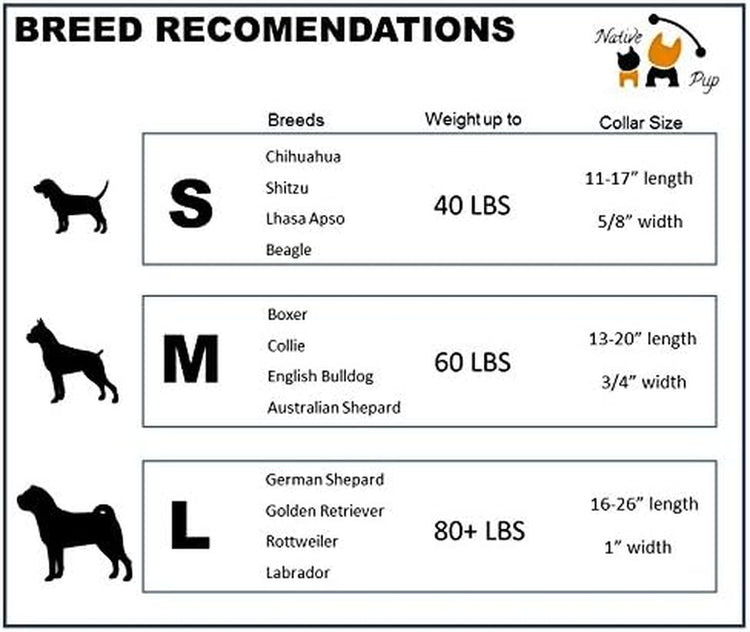 Chicago Flag Dog Collar (Chicago Big Stars, Medium)