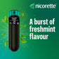 Nicorette QuickMist Mouthspray, Freshmint (2 x 150 Sprays) Smoking or Vaping Cessation Aid, designed to start reducing cravings in 30 seconds (Quit Smoking or Quit Vaping Aid)