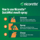 Nicorette QuickMist Mouthspray, Freshmint (2 x 150 Sprays) Smoking or Vaping Cessation Aid, designed to start reducing cravings in 30 seconds (Quit Smoking or Quit Vaping Aid)
