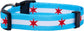 Chicago Flag Dog Collar (Chicago Big Stars, Medium)