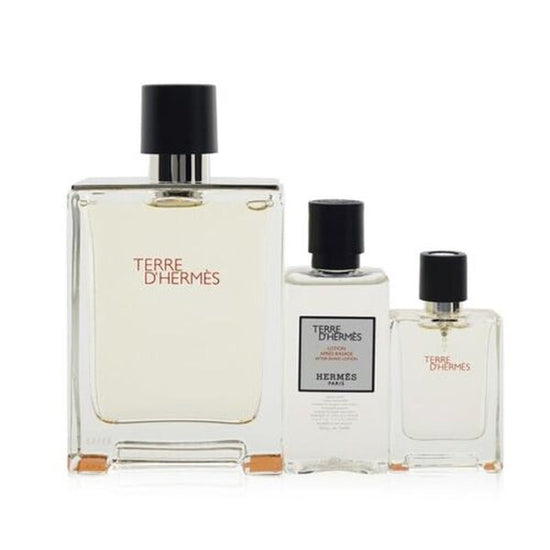 Hermes Terre D&