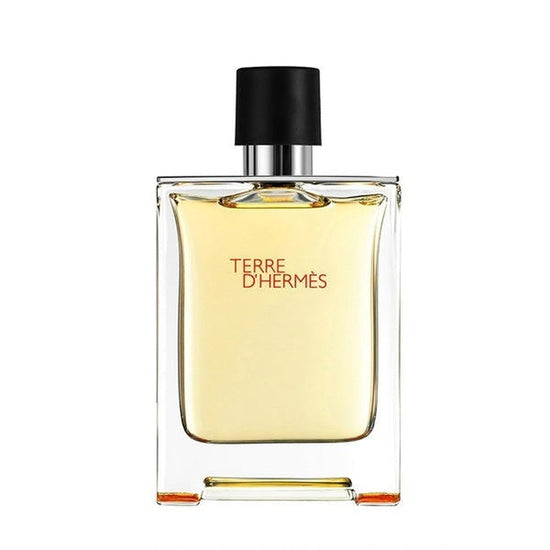Hermès Terre d&