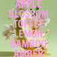 Melrose Apple Blossom Fragrance 10ml