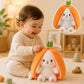 Easter Bunny Stuffed Animal, Carrot Bunny Plush Turn Into Rabbit Fruit Doll