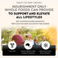 Ancestral Supplements Grass-Fed Beef Organs – Liver, Heart, Kidney, Pancreas, Spleen | 180 Capsules