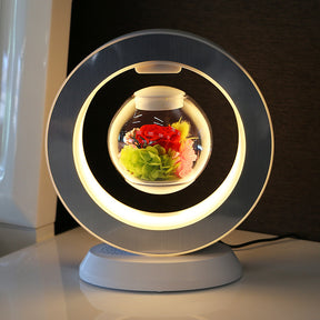 Magnetic Levitation Immortal Flowers For Girlfriend On Chinese Valentine's Day - Get Me Products