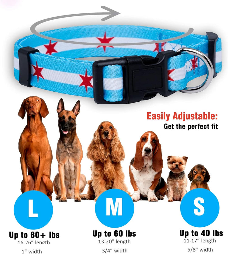 Chicago Flag Dog Collar (Chicago Big Stars, Medium)