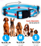 Chicago Flag Dog Collar (Chicago Big Stars, Medium)
