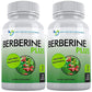 Berberine Plus 1200 mg | Doctor Recommended Supplements | 120 Veggie Capsules (Pack of 2)