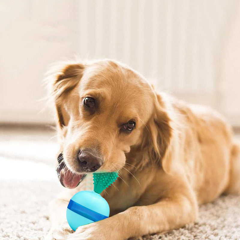 Pet Does Not Fall Down The Leakage Of Food Ball Toys - Get Me Products