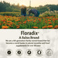 Floradix Iron & Herbs – Liquid Iron Supplement for Energy (16.9 fl oz)