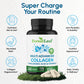 ForestLeaf Multi Collagen Pills — Hydrolyzed Collagen with Vitamin C & Hyaluronic Acid (240 Capsules)