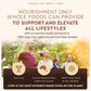 Ancestral Supplements Grass Fed Beef Liver 180 Capsules | Energy, Detox, Digestion, Immunity