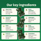 Grüns Adults Super Greens Multivitamin Gummies – 60+ Nutrients, 6g Fiber, 28 Pack