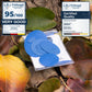 Self-Adhesive Puffer Jacket Repair Patches (30+ Colours)