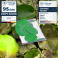 Self-Adhesive Puffer Jacket Repair Patches (30+ Colours)