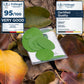 Self-Adhesive Puffer Jacket Repair Patches (30+ Colours)