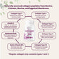 Micro Ingredients 2 Pack Multi Collagen Pills – Types I–X, Biotin & Hyaluronic Acid