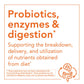 NOW Foods Probiotic-10™ 25 Billion | 10 Strains, Dairy/Soy/Gluten Free, 180 Veg Capsules