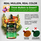 USDA Organic Mullein Drops for Lungs – Made in USA | Pack of 2