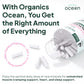 Organics Ocean Magnesium Glycinate with Zinc - Maximum Strength Chelated Magnesium for Sleep & Muscle Cramps - 2 Bottles