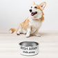 Irish Army - Pet Bowl