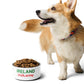 IRELAND - Pet Bowl