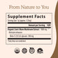 Real Mushrooms Lion’s Mane Supplement Powder – Organic Lion’s Mane Extract, 150 Servings