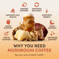 RYZE SUPERFOODS Mushroom Coffee USDA Organic — 6 Adaptogenic Mushrooms + MCT Oil, 30 Servings