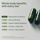 Seed DS-01 Daily Synbiotic - 60 Capsules | Prebiotic + Probiotic for Digestive Health, Immune Support, Bloat Relief