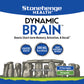 Stonehenge Health Dynamic Brain Supplement with BacoMind – Memory, Retention & Recall (40 Nootropics)