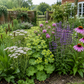 The Wild Remedy Garden - Traditional Herbal Collection