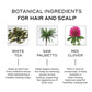 ZENAGEN Densifying Hair Serum for Fine + Thinning Hair | Lightweight, Water-Based, Plant-Based, Vegan 1 oz