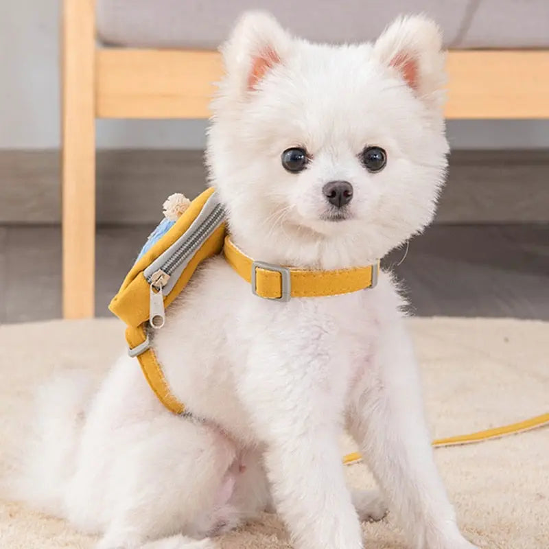 Pet Cute Dog Cat Harness with backpack Medium small Dog Lead Walking Running training Leashes Dogs Chest Strap star pattern Vest - Get Me Products