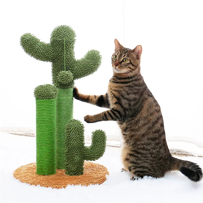 US Warehouse Free Shipping Hot Sale Cactus Cat Tree Scratcher Cat Scratching Posts - Get Me Products