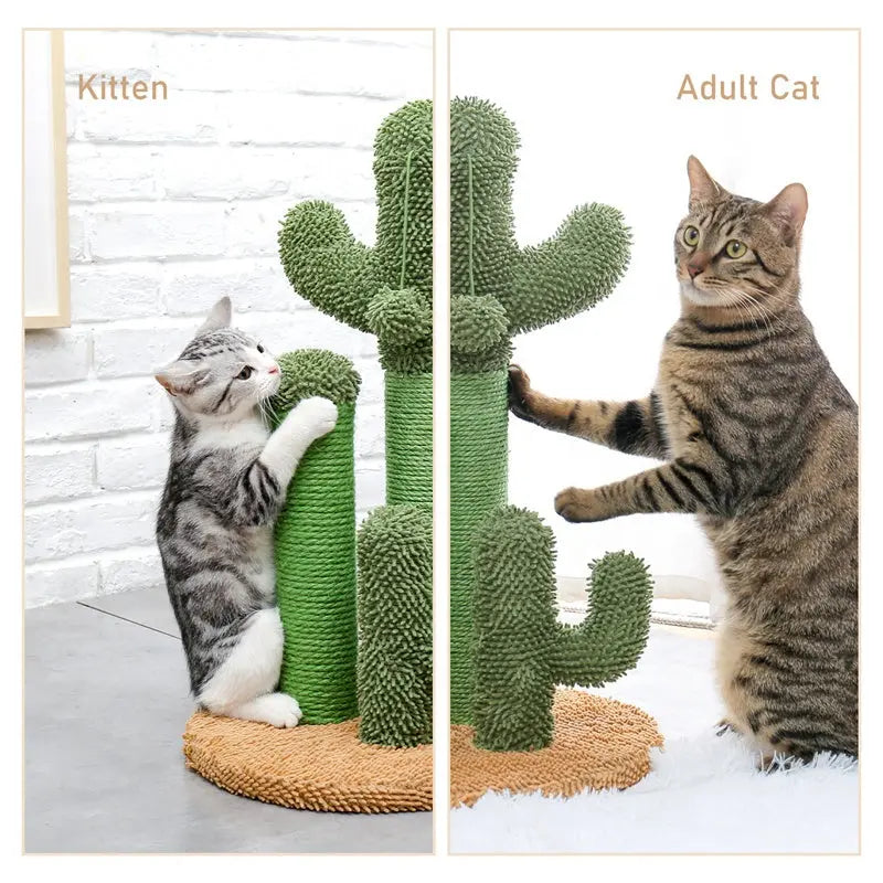 US Warehouse Free Shipping Hot Sale Cactus Cat Tree Scratcher Cat Scratching Posts - Get Me Products